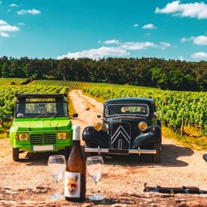 Voitures de collection dans les vignes de Bourgogne expérience MARCEVINO